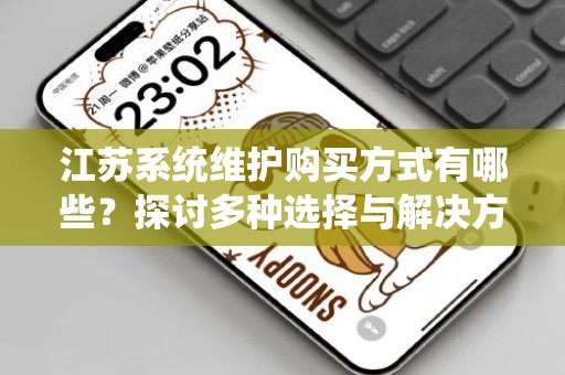 江苏系统维护购买方式有哪些？探讨多种选择与解决方案