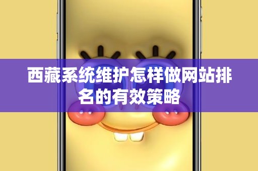 西藏系统维护怎样做网站排名的有效策略