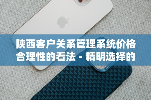 陕西客户关系管理系统价格合理性的看法 - 精明选择的指南