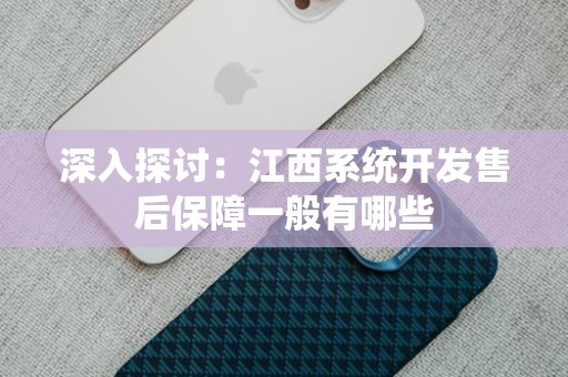 深入探讨：江西系统开发售后保障一般有哪些