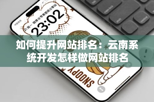 如何提升网站排名：云南系统开发怎样做网站排名