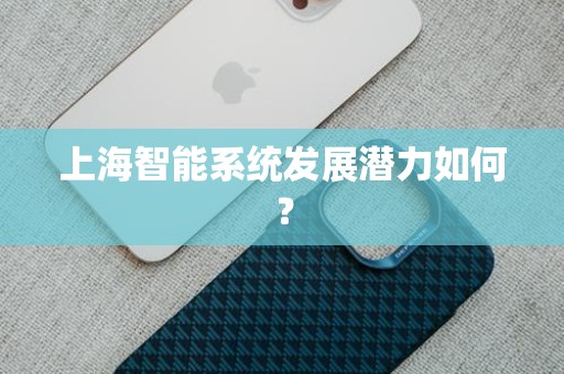 上海智能系统发展潜力如何？