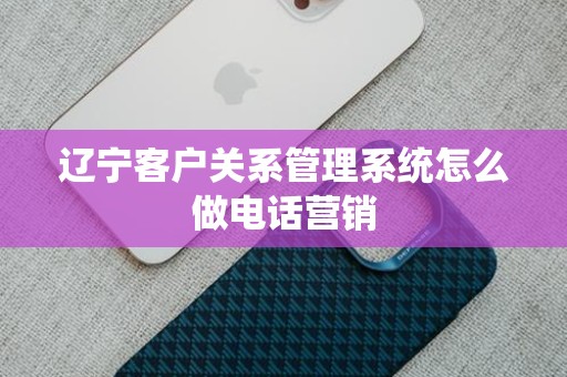 辽宁客户关系管理系统怎么做电话营销