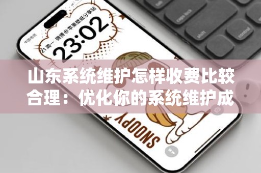山东系统维护怎样收费比较合理：优化你的系统维护成本策略