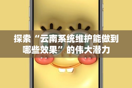 探索“云南系统维护能做到哪些效果”的伟大潜力