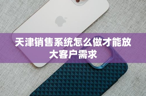 天津销售系统怎么做才能放大客户需求
