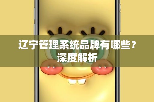 辽宁管理系统品牌有哪些？深度解析