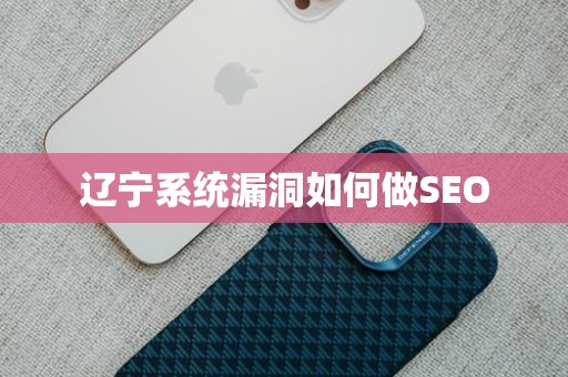 辽宁系统漏洞如何做SEO
