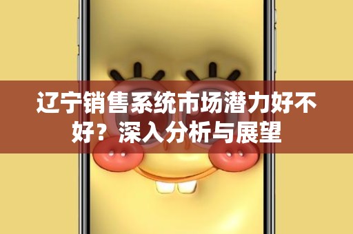 辽宁销售系统市场潜力好不好？深入分析与展望