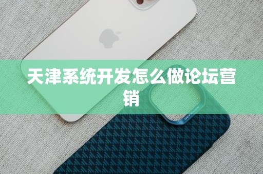 天津系统开发怎么做论坛营销