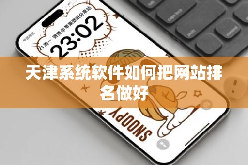 天津系统软件如何把网站排名做好