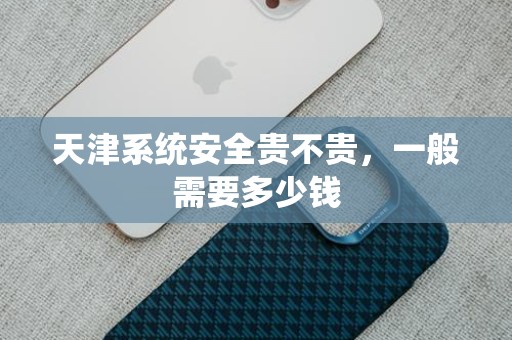 天津系统安全贵不贵，一般需要多少钱