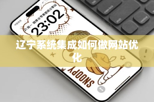 辽宁系统集成如何做网站优化