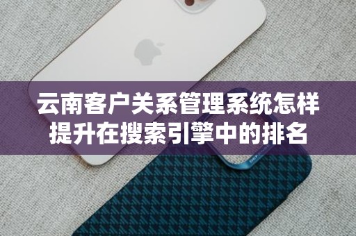 云南客户关系管理系统怎样提升在搜索引擎中的排名