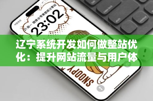 辽宁系统开发如何做整站优化：提升网站流量与用户体验的全面策略