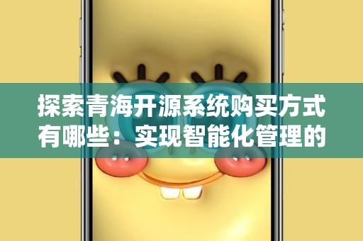 探索青海开源系统购买方式有哪些：实现智能化管理的必经之路