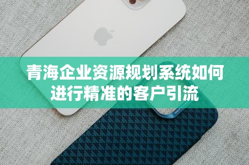 青海企业资源规划系统如何进行精准的客户引流