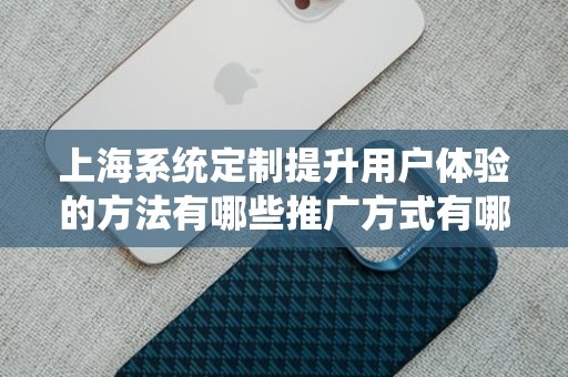 上海系统定制提升用户体验的方法有哪些推广方式有哪些