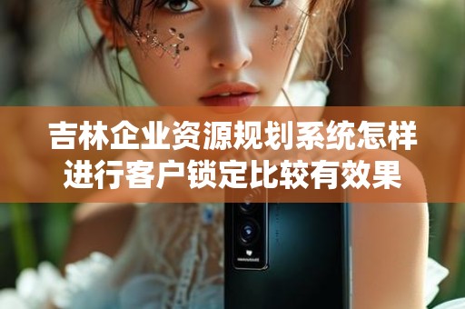 吉林企业资源规划系统怎样进行客户锁定比较有效果