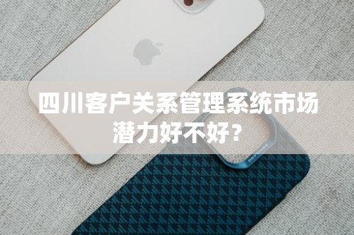 四川客户关系管理系统市场潜力好不好？