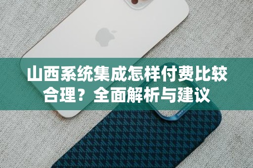 山西系统集成怎样付费比较合理？全面解析与建议