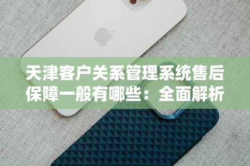 天津客户关系管理系统售后保障一般有哪些：全面解析