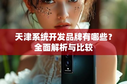 天津系统开发品牌有哪些？全面解析与比较