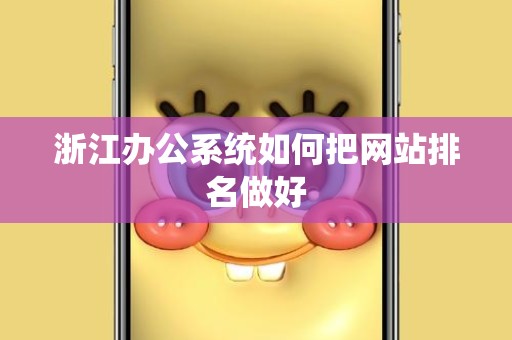 浙江办公系统如何把网站排名做好