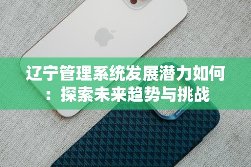 辽宁管理系统发展潜力如何：探索未来趋势与挑战