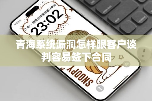 青海系统漏洞怎样跟客户谈判容易签下合同