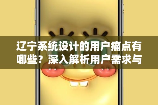 辽宁系统设计的用户痛点有哪些？深入解析用户需求与解决方案