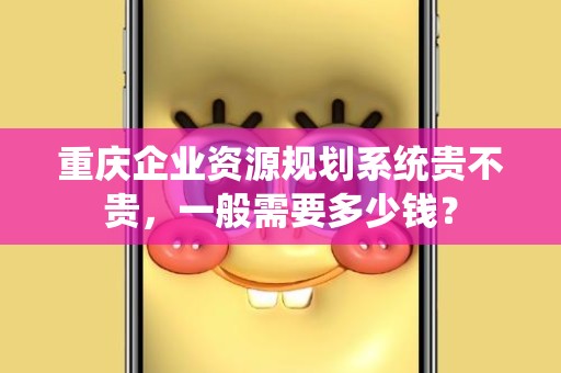 重庆企业资源规划系统贵不贵，一般需要多少钱？