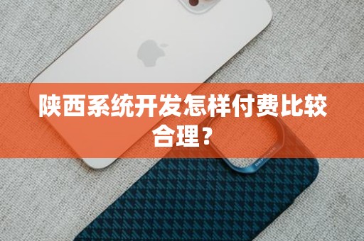 陕西系统开发怎样付费比较合理？