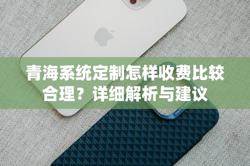 青海系统定制怎样收费比较合理？详细解析与建议