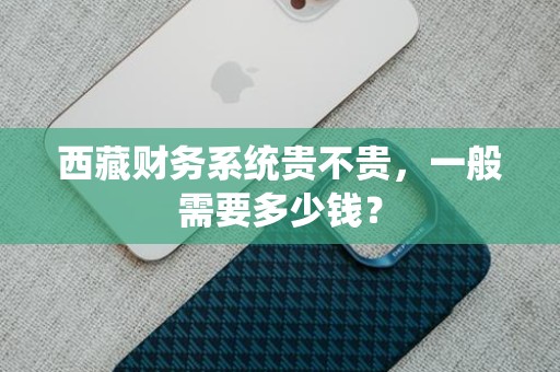 西藏财务系统贵不贵，一般需要多少钱？