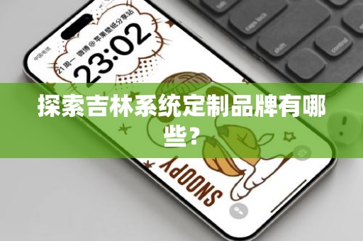 探索吉林系统定制品牌有哪些？