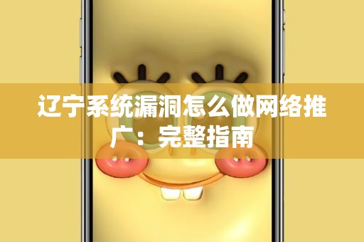 辽宁系统漏洞怎么做网络推广：完整指南