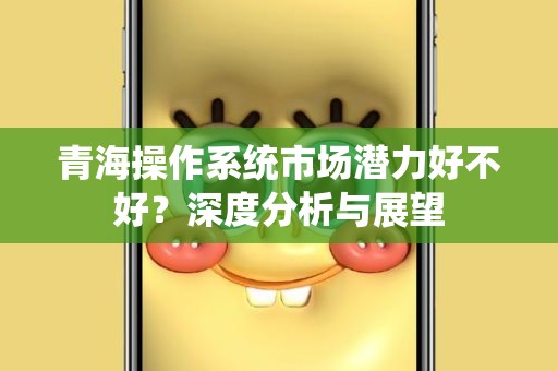 青海操作系统市场潜力好不好？深度分析与展望