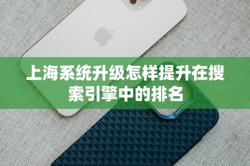 上海系统升级怎样提升在搜索引擎中的排名