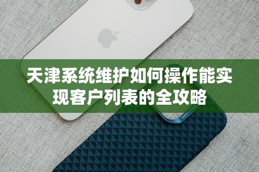 天津系统维护如何操作能实现客户列表的全攻略