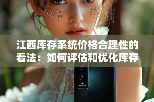 江西库存系统价格合理性的看法：如何评估和优化库存管理的性价比