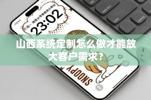 山西系统定制怎么做才能放大客户需求？