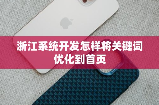 浙江系统开发怎样将关键词优化到首页