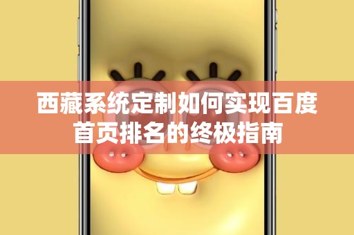 西藏系统定制如何实现百度首页排名的终极指南