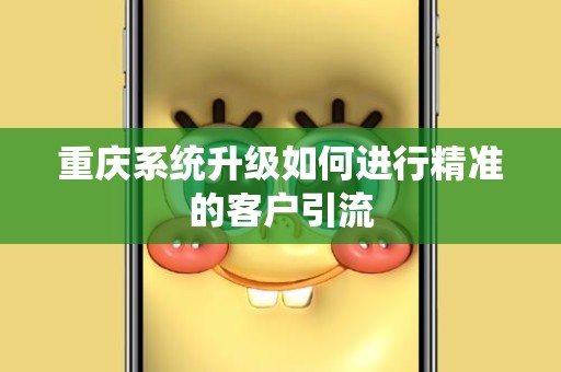 重庆系统升级如何进行精准的客户引流