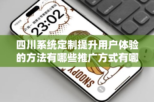 四川系统定制提升用户体验的方法有哪些推广方式有哪些