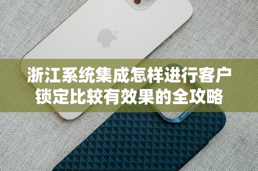 浙江系统集成怎样进行客户锁定比较有效果的全攻略