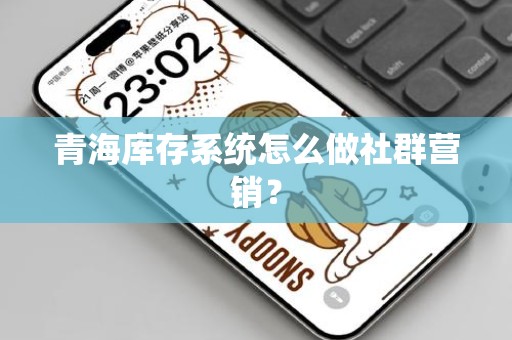 青海库存系统怎么做社群营销？