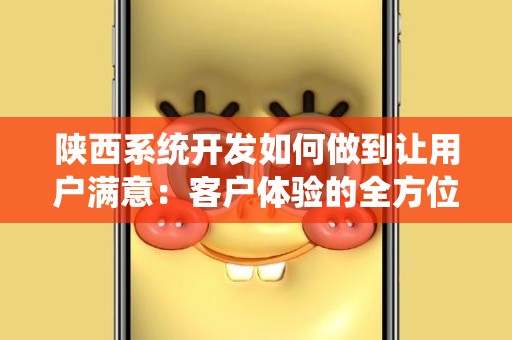 陕西系统开发如何做到让用户满意：客户体验的全方位提升策略