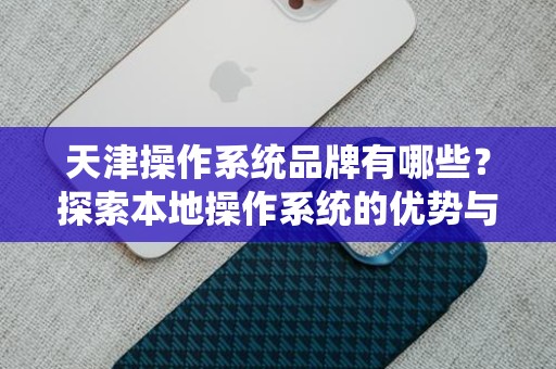 天津操作系统品牌有哪些？探索本地操作系统的优势与未来